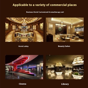 Wholesale 100ml Aroma Pure <b>Essential</b> <b>Oil</b> <b>Diffuser</b> Perfume <b>Oil</b> for Aromatherapy Use - Product Image 6