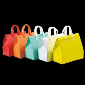 Wholesale Disposable Non Woven Aluminum <b>Foil</b> Insulated Letter Carry Takeaway Cooler Bag <b>Cater</b> Fast Food Beverage Take-out Pack - Product Image 6