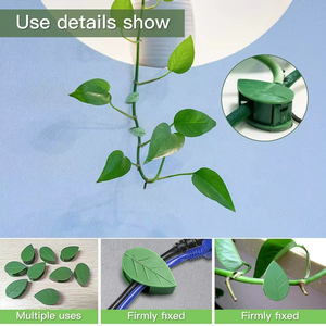 Plant Climbing Wall Self-Adhesive Wire Support Traction <b>Hook</b> Garden Clip Buckle Leaf Clips Traction Holder Garden - Product Image 5