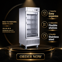 Congélateur vertical commercial Wetruth en acier inoxydable, sans givre, avec vitrine réfrigérée, température unique