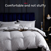 Couette matelassée extra chaude en duvet de canard hypoallergénique, taille Queen, pour l'hiver et le temps froid, couette lourde pour hôtels et zones nordiques