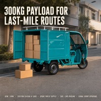 Nouveau design de tricycle cargo à trois roues à essence avec cabine fermée, roue de secours et fonction de marche arrière