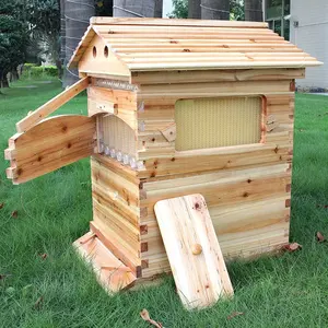 Self Flowing Beehive Bee Hives Boxes Wooden Beekeeping Bee House