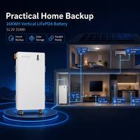 Batería de bajo voltaje Novoage 6000 ciclos compatible con inversor, montada en pared, 51.2V 314Ah LiFePO4 para uso solar doméstico, Libra 16H 200A