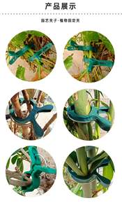 Populaire papillon orchidée plante Clip <span class=keywords><strong>jardin</strong></span> ensemble tomate plante pince fixe escalade flexion plante fleur Support Wal Clips - Product Image 6