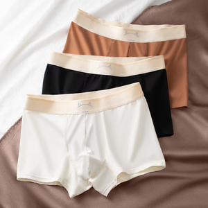 <span class=keywords><strong>Intimo</strong></span> in tinta unita 2025 nuovo modello da <span class=keywords><strong>uomo</strong></span>-cintura comoda, senza cuciture e traspirante con Logo-pantaloni svasati in stile giovanile - Product Image 1