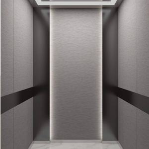 Elevadores Pequeños de Bajo Precio para Apartamentos/Villas/Hoteles, Elevador de Pasajeros Moderno con Accionamiento por Aire Acondicionado, Sin Engranajes, de Acero Inoxidable - Product Image 1