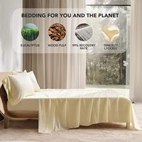 Parure de lit moderne en soie lyocell végétalienne Draps de lit ajustés et plats Tailles King et Super King pour l'été