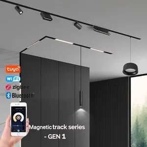 LuxHolic European recessed cob moving head zoomable ceiling linear track lights led magnetic spot light rail system dali
