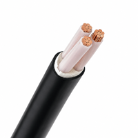 Câble d'alimentation YJV 0,6/1 kV 3 conducteurs, âme en cuivre, isolation XLPE, gaine PVC, 1~400 mm² pour câblage industriel et bâtiment