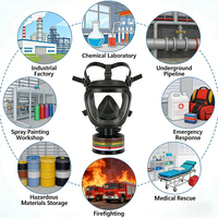 Masque respiratoire intégral certifié de haute qualité, Équipement de protection individuelle (ÉPI), Masque à gaz industriel, Fabrication, Sécurité