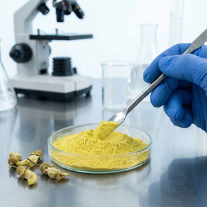 Sophora Japonica-extract Rutin Cardiovasculair ondersteuning Anti-oxidatie Leverreinigend ingrediënt Poeder Gezondheidsvoeding - Product Image 2