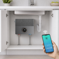 Chauffe-eau électrique instantané sans réservoir pour cuisine, sous comptoir, vente en gros d'usine, chauffe-eau à la demande, type Geyser