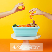 Boîtes de rangement alimentaire pliables en silicone multi-tailles pour la cuisine, les voyages et les activités de plein air, compatibles OEM