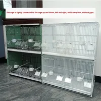 Nouvelles cages d'élevage pour oiseaux en métal avec connexion étanche pour canaris, moineaux gris, pinsons dorés et oiseaux de compagnie Hibiscus