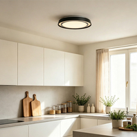 Plafonniers LED modernes en aluminium noir avec surface acrylique pour la décoration de la maison, salon, chambre à coucher