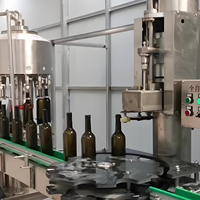 Machine de remplissage entièrement automatique 3-en-1 pour jus et eau de coco