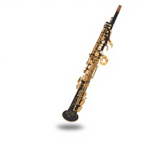 Ehrman Earl Mann Black Paint Gold Lacquer Brass BB Tone Soprano Saxophone Drop B