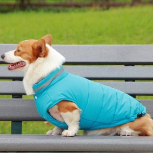 Abrigo acolchado de algodón para perros, ropa de invierno gruesa de color amarillo fluorescente y azul cielo para Corgi Golden Retriever, razas medianas y grandes - Product Image 1