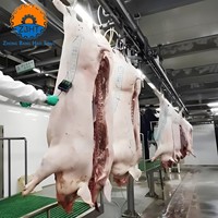 Peralatan Pemotongan Babi Industri Solusi Turnkey Lini Pemrosesan Rumah Potong Hewan Otomatis Penuh Mesin Pemotongan Babi Laris Manis Bersertifikasi CE