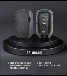 Loa di động mini tích hợp pin sạc, không dây, chuyên nghiệp Accuracy Pro Audio CSL08AOH, dùng cho karaoke, DJ, chơi game, loa xe hơi - Product Image 5