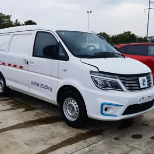 Hot Sale New Energy Pure Electric Mini Cargo Van