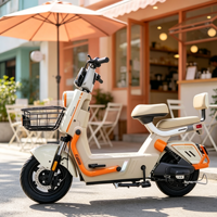Vélo électrique à 2 roues personnalisé OEM, vélo électrique de ville à double siège avec panier pour les trajets familiaux, vente en gros