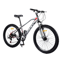 Bicicleta de Montaña 29er en Oferta, Bicicletas de Aleación de Aluminio de 29 Pulgadas, Bicicleta de Montaña para Hombre de 29 Pulgadas/Bicicleta de Montaña Económica