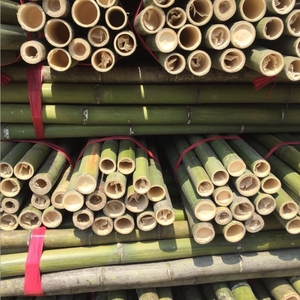 装飾と建設のためのモソ竹杖 - Product Image 5