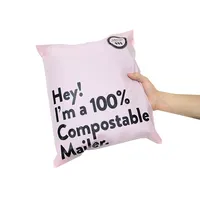 Custom Logo Color Biodegradable Plastic Poly Mailing Bag