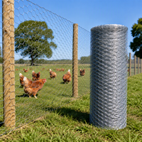 Treillis métallique hexagonal galvanisé électrique de haute qualité pour clôture ferme filet de maille de poulet filet de volaille hexagonal poulailler