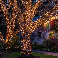 HISHINY 100 mini-lumières de Noël incandescentes transparentes, 21 pieds, fil blanc, certifiées pour intérieur/extérieur, décoration de mariage et de fêtes