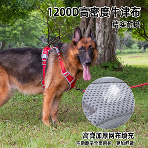 <b>Dog</b> <b>Harness</b> With Leash For Small Medium <b>Large</b> <b>Dogs</b> Chest Strap Adjustable Size Purple Orange Green Blue Red - Product Image 5