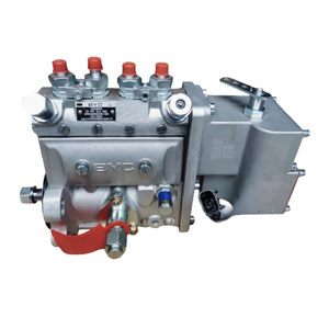 Fuel Injection Pump 0460424289 3963961 Compatible With Cummins Engine 4BT 3.9L