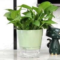 Pot de fleurs auto-arrosant avec réservoir transparent en plastique, pots à fleurs absorbants l'eau automatiquement pour plantes, décoration de la maison et du bureau