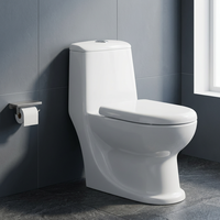 WC monobloc en céramique de haute qualité avec chasse double, siphon en P, à poser au sol, avec siège