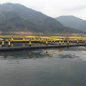กรงเลี้ยงปลาแบบโมดูลาร์ทรงสี่เหลี่ยม HDPE พร้อมแท่นทำงานและตาข่าย - Product Image 5