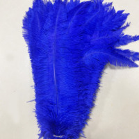 60-65cm grande taille carnaval Costume plume d'autruche en différentes couleurs plume d'autruche plumes teint plume d'autruche