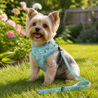 Ensemble Harnais et Laisse Réglables pour Chien avec Collier, Foulard, Nœud Papillon et Gilet de Sécurité – Idéal pour l'Entraînement et les Promenades en Extérieur pour Chiots et Chiens de Petite et Moyenne Taille en Polyester