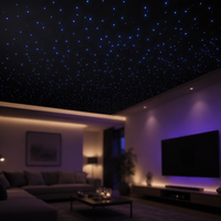 Projecteur LED RVB à fibres optiques 5W pour plafond étoilé de chambre à coucher