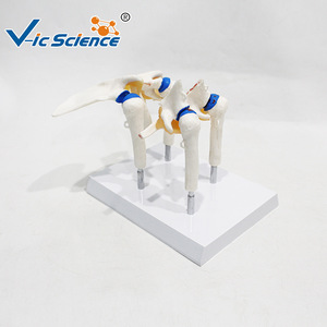 4 - Product Image 2