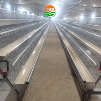 Élevage de volailles ferme poules pondeuses équipement système batterie poulailler cage à vendre