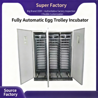 Incubateurs à œufs de haute qualité et incubateur à œufs automatique avec vente directe d'usine pour les élevages avicoles