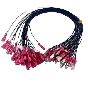 Cablaggi Personalizzati - Product Image 1