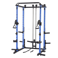 Zoshine Barra Paralela Individual Multifuncional Moderna de Alta Calidad para Uso en Interiores, Equipo de Gimnasio para Hacer Dominadas