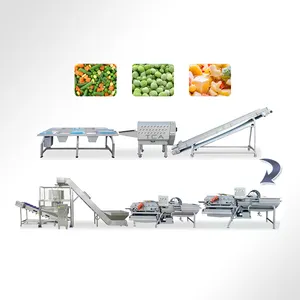 AICN קפוא ירקות ייצור קו קפוא מתוק תירס תות ירוק אפונה וIQF הקפאה מהירה מכונה
