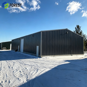 Nave Industrial Prefabricada de Acero con Estructura de Viga H, Almacén Modular de Gran Altura para Depósitos - Product Image 1