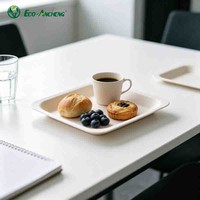 Assiette en bois jetable laminée en papier, vaisselle carrée écologique et biodégradable
