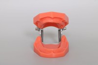 Modelo de Práctica de Implantes Dentales de Resina y PVC, Entrenamiento de Comunicación Médico-Paciente para Ciencias Médicas