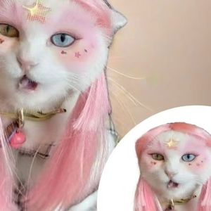 Nouvelle perruque pour animaux de compagnie rose longue et droite universelle, solide, pour chats et chiens, peut être attachée, à porter en été et en hiver, moins de miaulement, costume de perruque pour chat - Product Image 5
